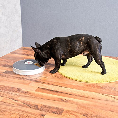 infactory Fressnapf: Zeitgesteuerter 6-Fach-Katzen- & Hunde-Futterspender, LCD-Display (Katzenfutterautomat, Futterautomat zeitgesteuert, Hund)