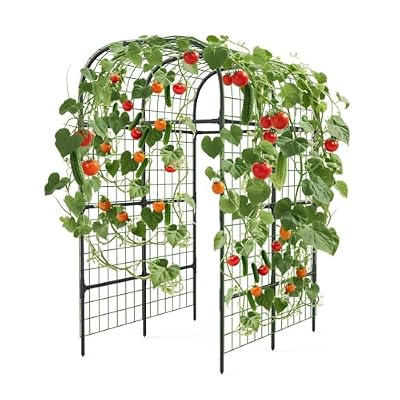 Metal Garden Arch Trellis, 7.3Ft Black for Raised Beds, Plant Support for Cucumbers & Climbing Vegetables