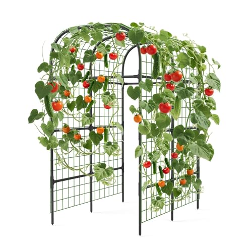 Metal Garden Arch Trellis, 7.3Ft Black for Raised Beds, Plant Support for Cucumbers &...