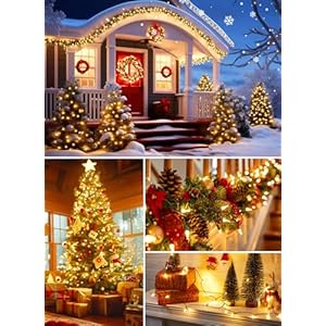 Clear Christmas String Lights 50 Count 12 Feet Incandescent Bulb Mini Lights for Indoor Xmas Tree Garland Birthday Wedding Party Festival Decoration, Green Wire Clear Christmas String Lights 50 Count 12 Feet Incandescent Bulb Mini Lights for Indoor Xmas Tree Garland Birthday Wedding Party Festival Decoration Green Wire