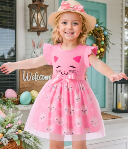 Toddler Girls Tulle Dress Baby Girl Summer Dress Ruffle Sleeveless Birthday Party Princess Causal Tutu Sundress 2-7Y2