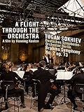 A Flight Through the Orchestra