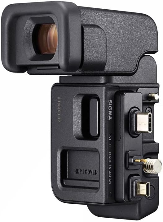Sigma FP L Digital Camera + Electronic Viewfinder