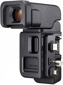 Sigma FP L Digital Camera + Electronic Viewfinder