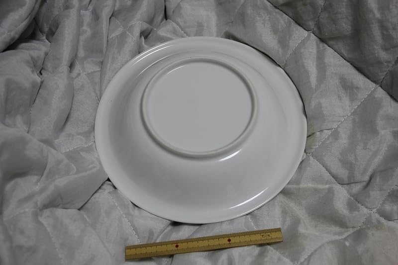 Amazon | ノーブランド品陶器製オリエンタルカレーカレー皿検索