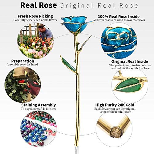 Image of Romantic Rose Gift for her,Eternity Gold Rose Flower 24k Gold Dipped Rose and Romantic Gift for her Rose,SkyBlue with Stand