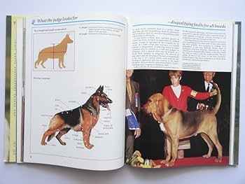 Amazon.co.jp: 洋書犬の写真集 本 コンプリートブック : おもちゃ
