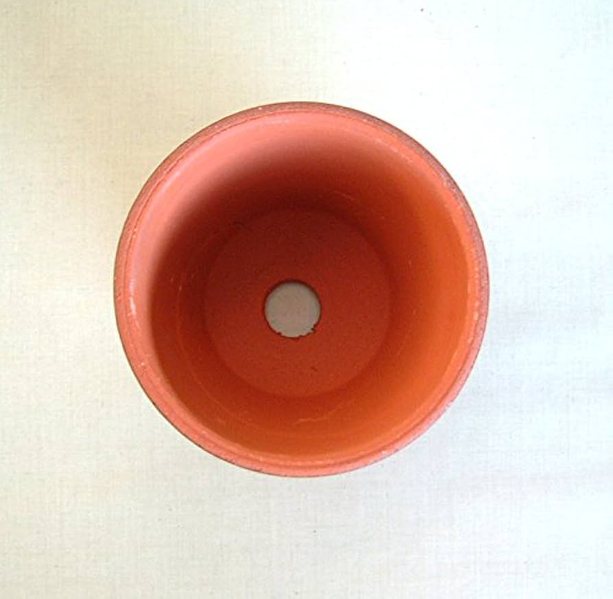 Amazon.co.jp: 駄温鉢 駄鉢 深型 (11号) *国産植木鉢* 常滑