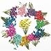 6pcs Tiny Natural Real Pressed Dried Flower for DIY Craft Jewelry Making Handmade Resin Ornament (Multi)