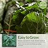 Cool Weather Garden Seeds Collection | Fall & Spring Planting – Grow Broccoli, Kale, Lettuce, Spinach & Cilantro | Cold Hardy Winter Vegetables – Survival Garden Seeds #2