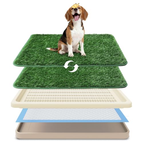 Dog Grass Pad with Tray, 2 Washable Pads