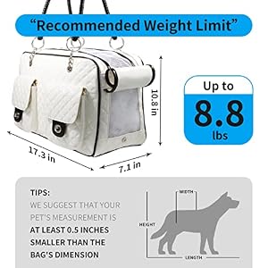 Soft-Sided Pet Travel Carrier Airline Approved for Pet Small Dog and Cat Collapsible, White Shiny Patent Leather Soft-Sided Pet Travel Carrier Airline Approved for Pet Small Dog and Cat Collapsible, White Shiny Patent Leather