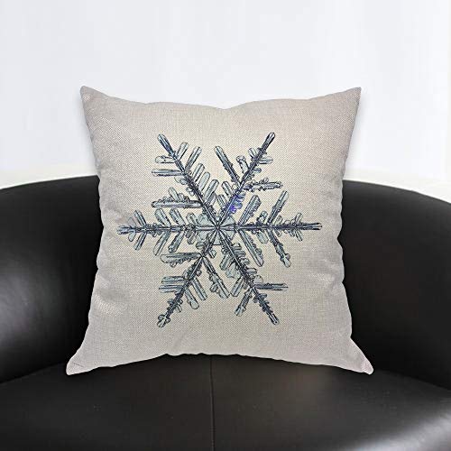Aoyego Snowflake Throw Pillow Cover Ice Frozen Crystal Nature Transparent Clear Winter Floral Nature Pillow Case 18X18 Inch Decorative Men Women Boy Girl Room Cushion Cover For Home Couch Bed #TOP1
