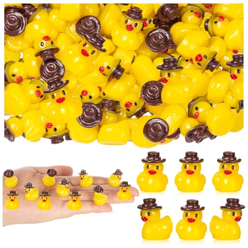 60PCS Mini Resin Cowboy Ducks, Miniature Western Duck Figurines for Garden