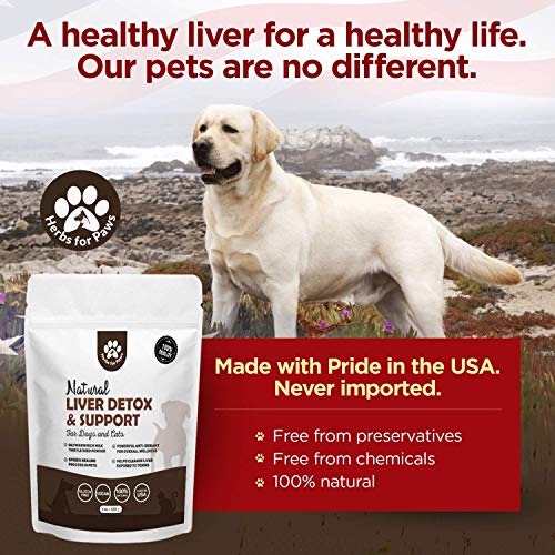 Milk Thistle for Dogs and Cats (120 grams), Liver Support for dogs, supplement without capsules, pills - Image 4