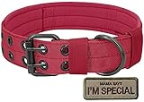5. Este collar es ideal para entrenamiento de perros, patrullas, senderismo, trabajo, caminar, correr y cazar, el suave forro acolchado no le provoca irritación o reacción alérgica a tu perro, fácil de ajustar a todo tipo de perros, regalo perfecto para los dueños de perros.