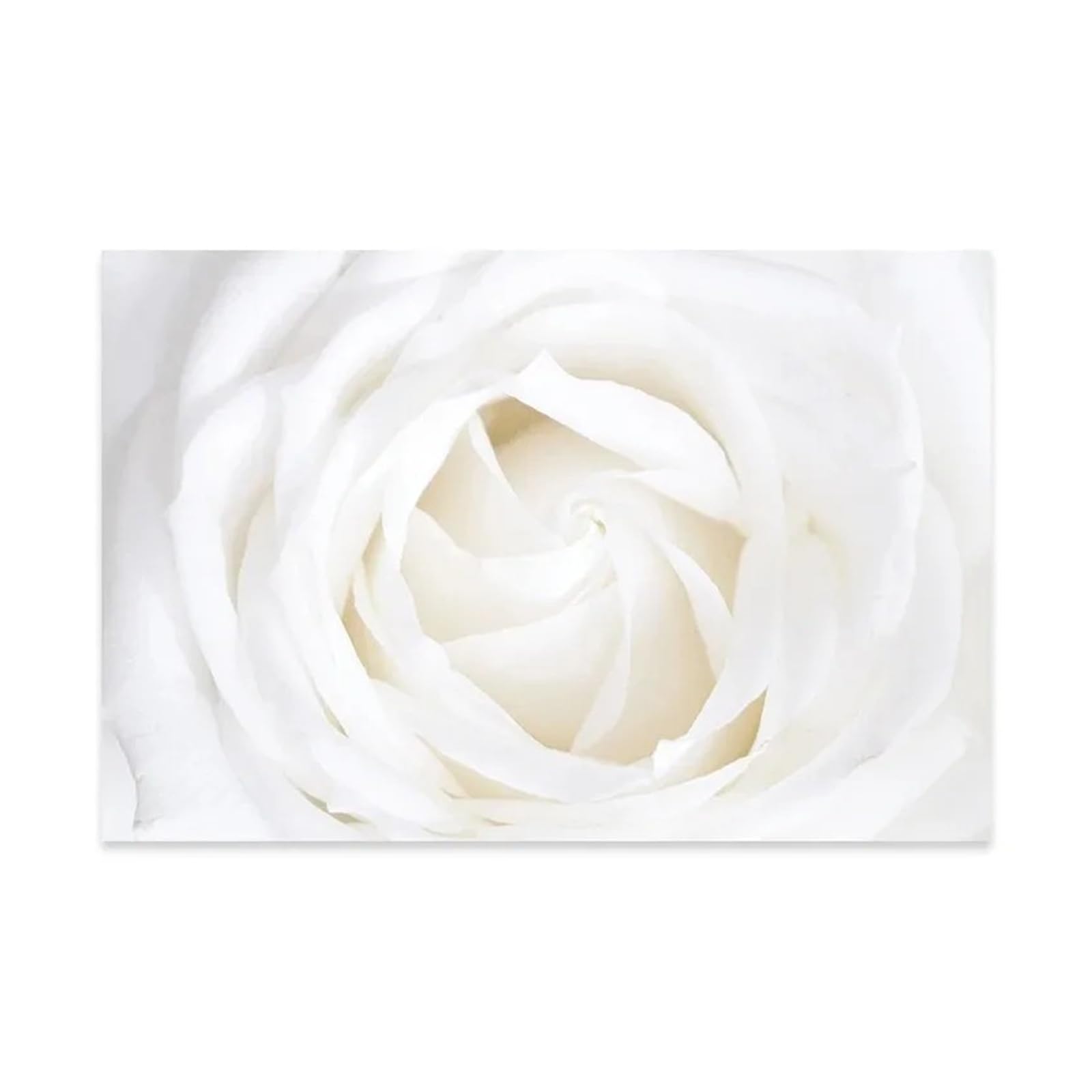 Impression dahlia rose sur toile premium 50x70cm pour salon chic