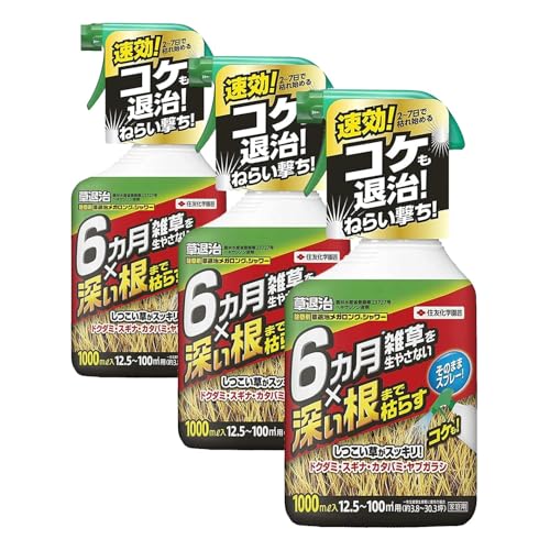 KINCHO���| ������ ���ގ����K�����O�V�����[1000ml ���� ���� �ő�U�z100�u �t�� (× 3)