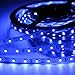 Signcomplex Nastro flessibile LED 3528 SMD LED nastro con nastro adesivo 3M 5m bobina 12V DC (blu)