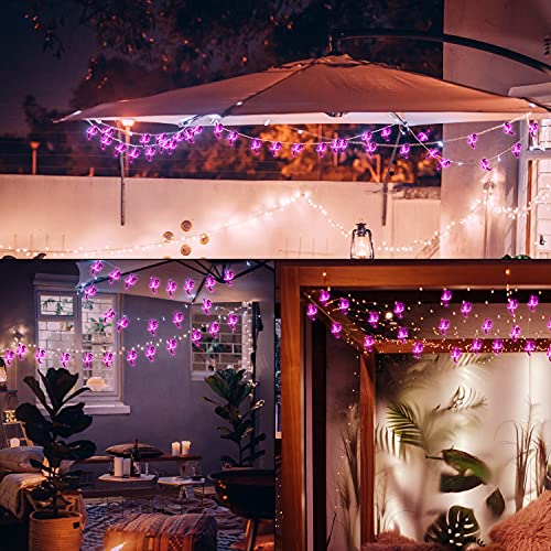 Enshui Solar String Lights Outdoor Waterproof 21 Ft 30 Led Pink Flamingo Garden Lights 8 Lighting Modes Fairy Lights String Patio Lights Terrace Camping Christmas Decoration (Flamingo) #TOP3