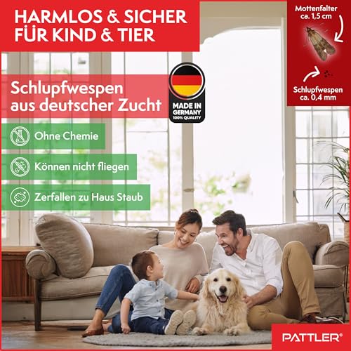 PATTLER® Schlupfwespen gegen Lebensmittelmotten – 4 Karten à 1 Lieferung – Lebensmittelmotten bekämpfen ohne Chemie… – Ansicht 7