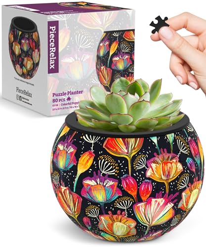 The HC Companies Eclipse Round Planter with Saucer - Outdoor & Indoor Plant Pot with Drainage Holes - Lightweight, UV-Resistant Plastic Pots for Plants, Flowers & Herbs (6