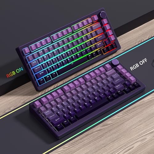 Image of Womier Shine Through PBT Keycaps 60 75 100 Percent Cherry Profile | Custom Key cap Doubleshot Keycaps Set, Universal Compatiability for Cherry Gateron MX Switches Keyboard, Gradient Purple