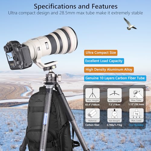 ARTCISE Carbon Fiber Tripod with Low Profile Ball Head & Stone Bag, Max 45lbs Load