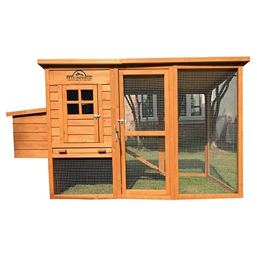 Pets Imperial Monmouth Large Chicken Coop 6ft 7" in Length with Roof That Opens Suitable for Up to 4 Birds