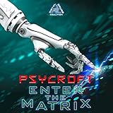  Enter the Matrix