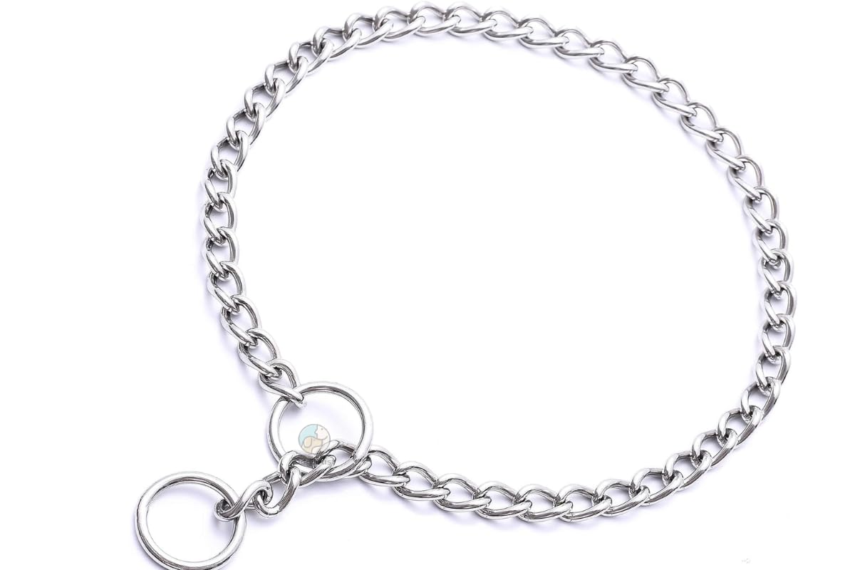Dog Trust Dog Chain Necklace, Training Choke Collar, Stainless Steel Chain Slip Martingale Collars,for Small Dogs, Chain no. 12 Size 18 inch (B0CGDVQ8L8) Amazon Price History, Amazon Price Tracker