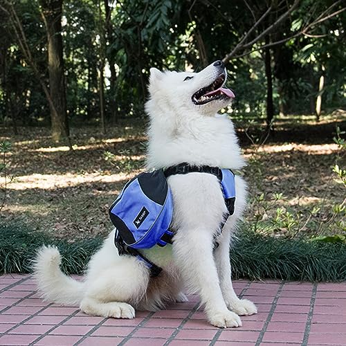 Mochila para cachorros y perros pequeños: bolsa para exteriores ajustable 6