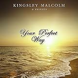  Your Perfect Way (feat. Raine Manning)