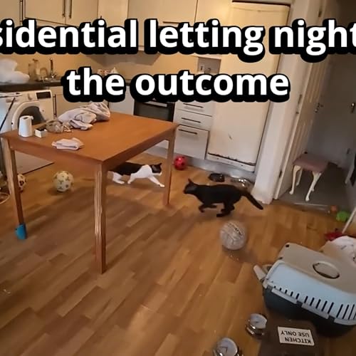 My residential letting nightmare-the outcome | Video #4 EP#819