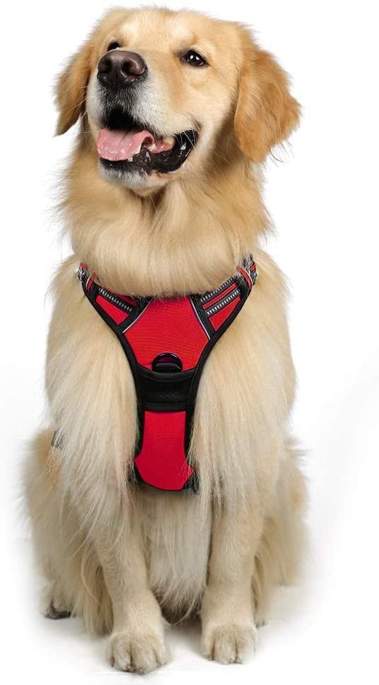 24x7 eMall Red No Pull Dog Harness Mesh Breathable Adjustable Reflective Oxford Easy Control Comfortable Harness. Red Large 18-26 Inch Girth (B09Y93MKX7) Amazon Price History, Amazon Price Tracker
