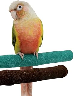 Parrot Perches Bird Stand Natural Wood Quartz Sand Branches Nail Perch for Small Medium Birds Cockatiel Cockatiel Parakeet Conure Cage Accessory Pack of 2 (Upgraded New Version 20cm/8")