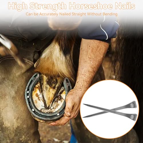 Image of 250Pcs 2.1inch E6 Horseshoe Nails, Steel Horse Shoe Nails Horse Hoof Nails Horseshoe Tools for Horse Training Equestrian Sports