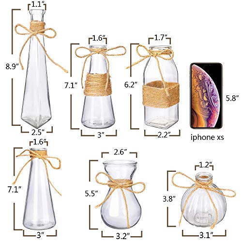 Nilos Small Vases For Centerpieces Set Of 6, Glass Bud Vases In Bulk, Mini Clear Vase For Flower, Rustic Decorative Vase With Rope Design And Unique Shapes For Wedding, Dinning, Home Decoration #TOP1