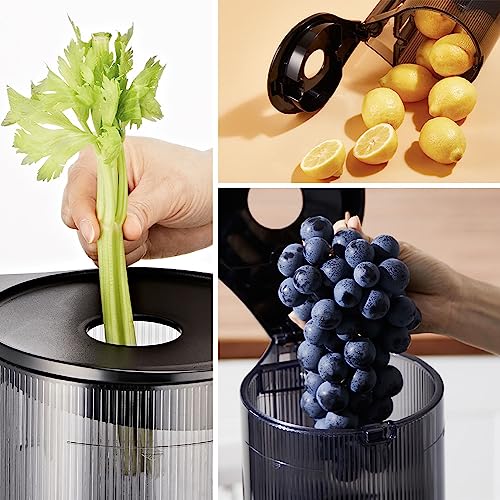 Extractor de jugo vertical Hurom H300 -All-in-One Multi Screw, Mega hopper, BPA-free… (grey)