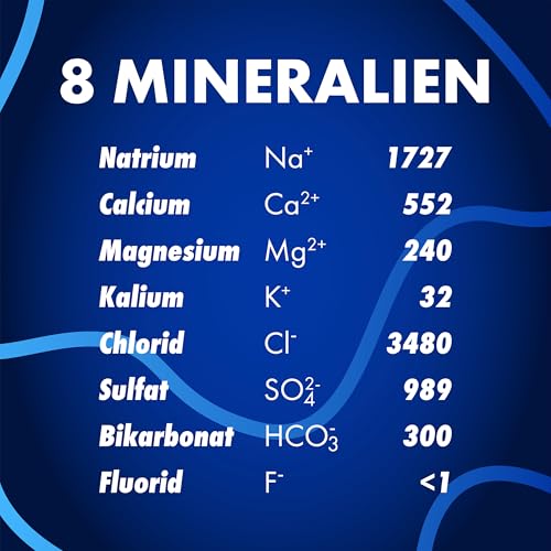 VYTAUTAS Natürliches Mineralwasser mit Kohlensäure 500 ml (12er Pack) Für Maximale Hydration, Reich an Essenziellen Mineralien wie Calcium, Magnesium, Funktionswasser, Hohe Mineralisierung