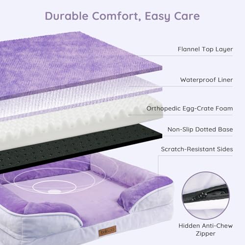BELLA & PAL Orthopädisches Hundebett, 71x59 cm Ergonomisches Hundesofa für kleine/mittlere Hunde-Ohne Montage, Eierschaum | wasserdichter Einlage | Flanell Abnehmbarer Bezug | Rutschfester Boden, Lila