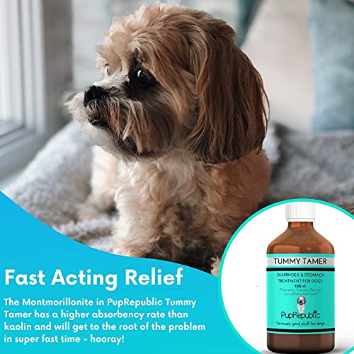 PupRepublic Fast Acting dog diarrhea treatment - Digestive Disorders - More Effective than Kaolin - Sickness & Allergy Relief for Dogs of All Breeds & Sizes - 4