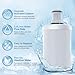 100186 Water Filter, Compatible with Amway Espring Cartridge，High Efficiency Filtration, Retains Calcium and Magnesium Beneficial Minerals. Lasting 1 Year or 5000L