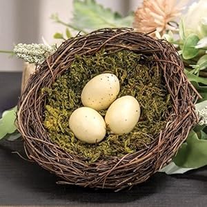 The Bridge Collection Artificial Bird Nest with Eggs - Cute Bird Egg Nest Tabletop Decoration for Easter, Spring, Summer, Everyday Home Decor (Cream Eggs) The Bridge Collection Artificial Bird Nest with Eggs Cute Bird Egg Nest Tabletop Decoration for Easter Spring Summer Everyday Home Decor Cream Eggs