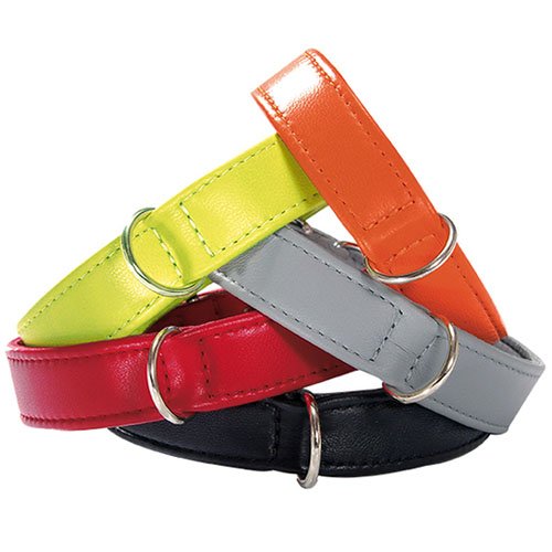 Collier pour chien Bobby Escapade Rubis taille 30 en nylon
