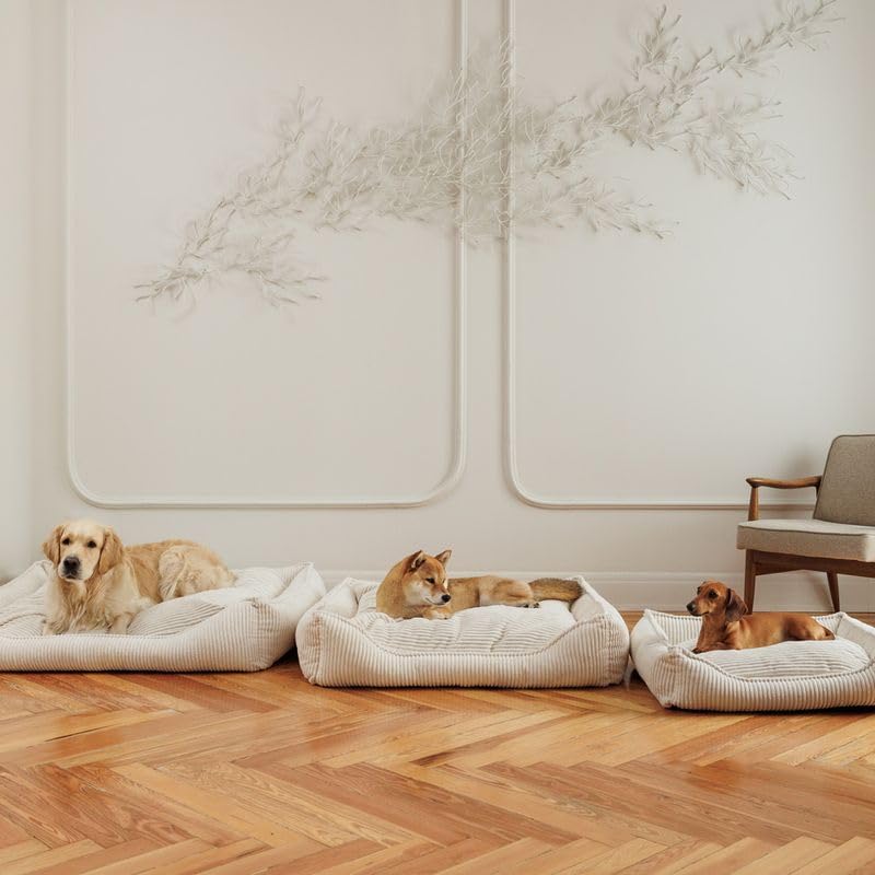 Modern Living Hundebett Helena | Komfortables Hundebett für kleine bis große Hunde | stilvolles Breitcord-Design | mit Memory Schaum gefüllt, Abnehmbarer Bezug (Beige, 65x60x18cm)