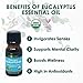 Organic Eucalyptus Oil by Sky Organics I 10 ml I Eucalyptus Essential Oil