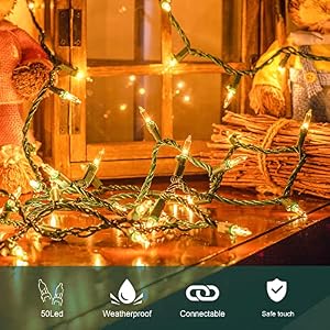 50-Count White Christmas Lights with Green Wire,Mini String Lights for Holiday Decorations, Christmas Tree Lights, Holiday Party, Wedding, Xmas, Home, Indoor & Outdoor Use (13ft Long) 50 Count White Christmas Lights with Green WireMini String Lights for Holiday Decorations Christmas Tree Lights Holiday Party Wedding Xmas Home Indoor Outdoor Use 13ft Long