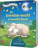  Mein Puste-Licht-Buch: Ein Sternlein wacht in dunkler Nacht: Gute-Nacht-Buch mit Puste-Licht und LED-Lämpchen
