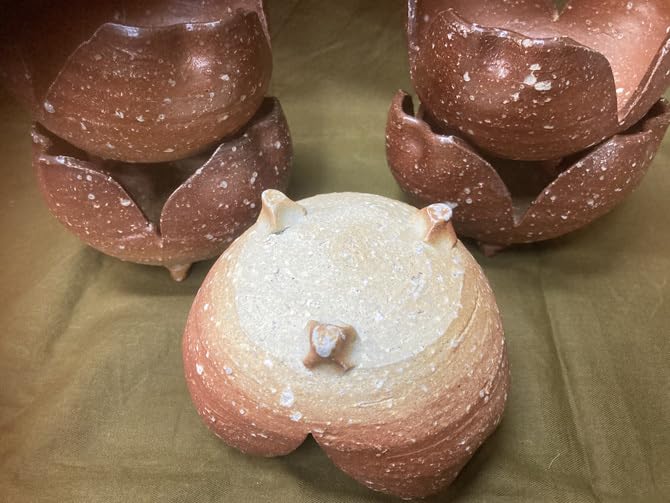 Amazon.co.jp: 鉢 信楽焼 三つ足付割山椒鉢（向付） 四代高橋楽斎 767